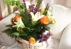basket 01